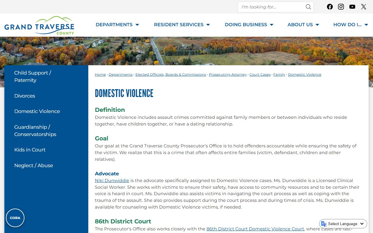 Antrim County domestic violence program dockets and family protection process