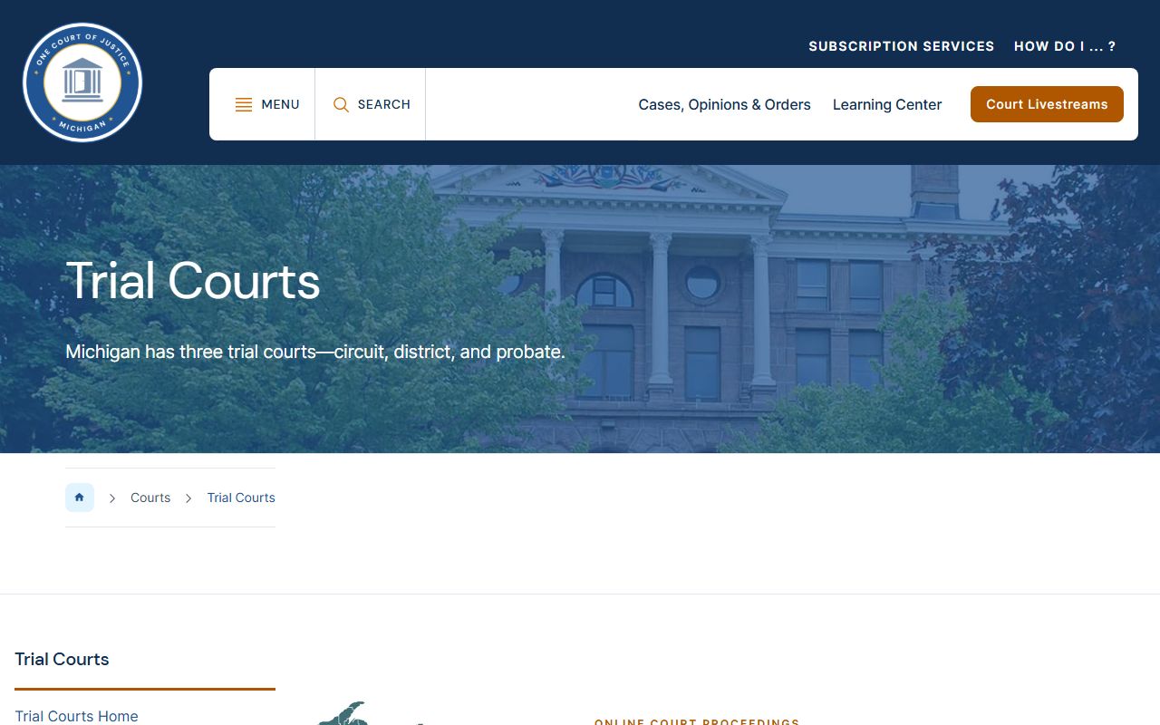 Antrim County court dockets across Michigan circuit, district, and probate trial courts