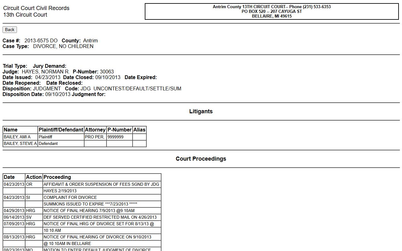 Antrim County sample civil court records case detail page